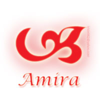 amiralogo.jpg